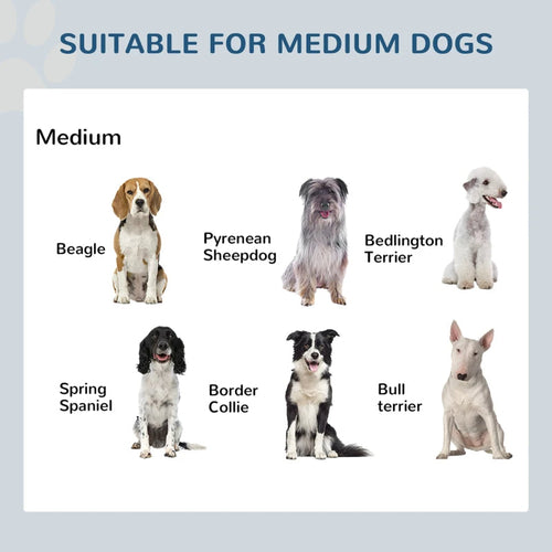 Elevated Double Stainless Steel Pet Bowls