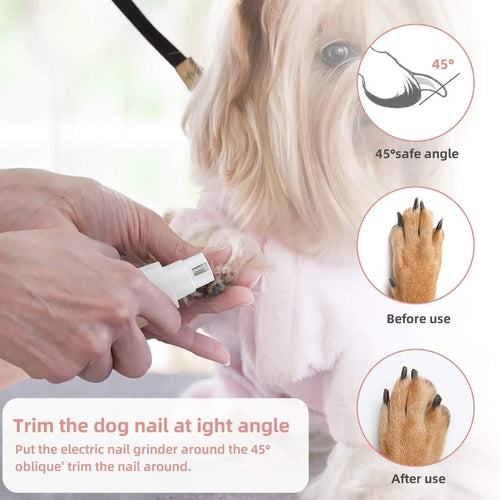All-in-One Pet Grooming & Nail Care Kit
