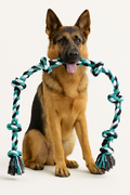 PawPull Heavy-Duty Tug & Chew Rope & Toy
