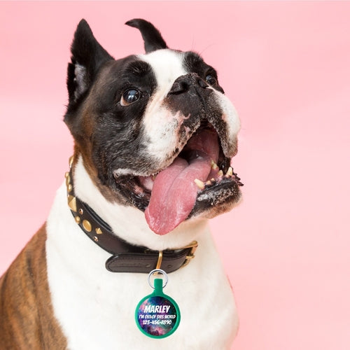 Galaxy EcoPlastic Custom Pet ID Tag – Multiple Colors Available
